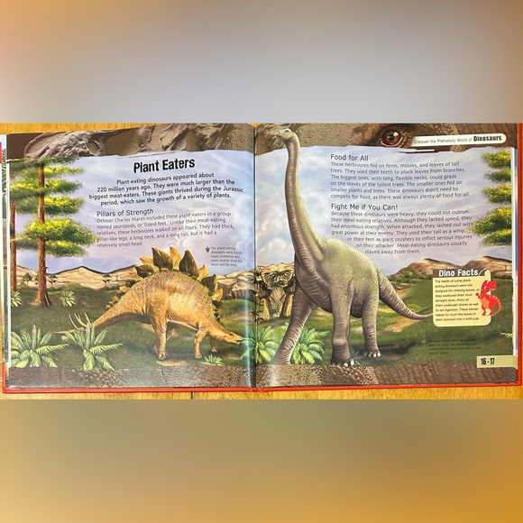 Count & Add Dinosaurs Activity Set with Dinosaurs Reference Book (For Kids) - Picture 10 of 10